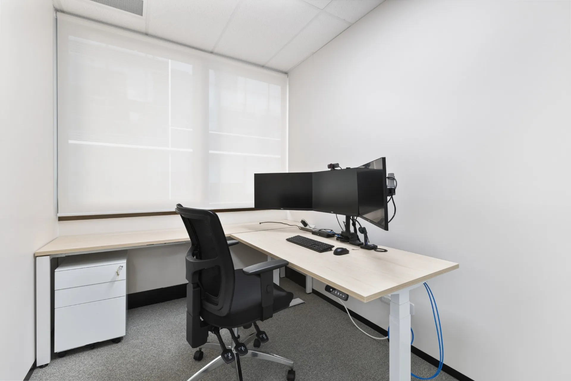 The Estate Lawyers 16