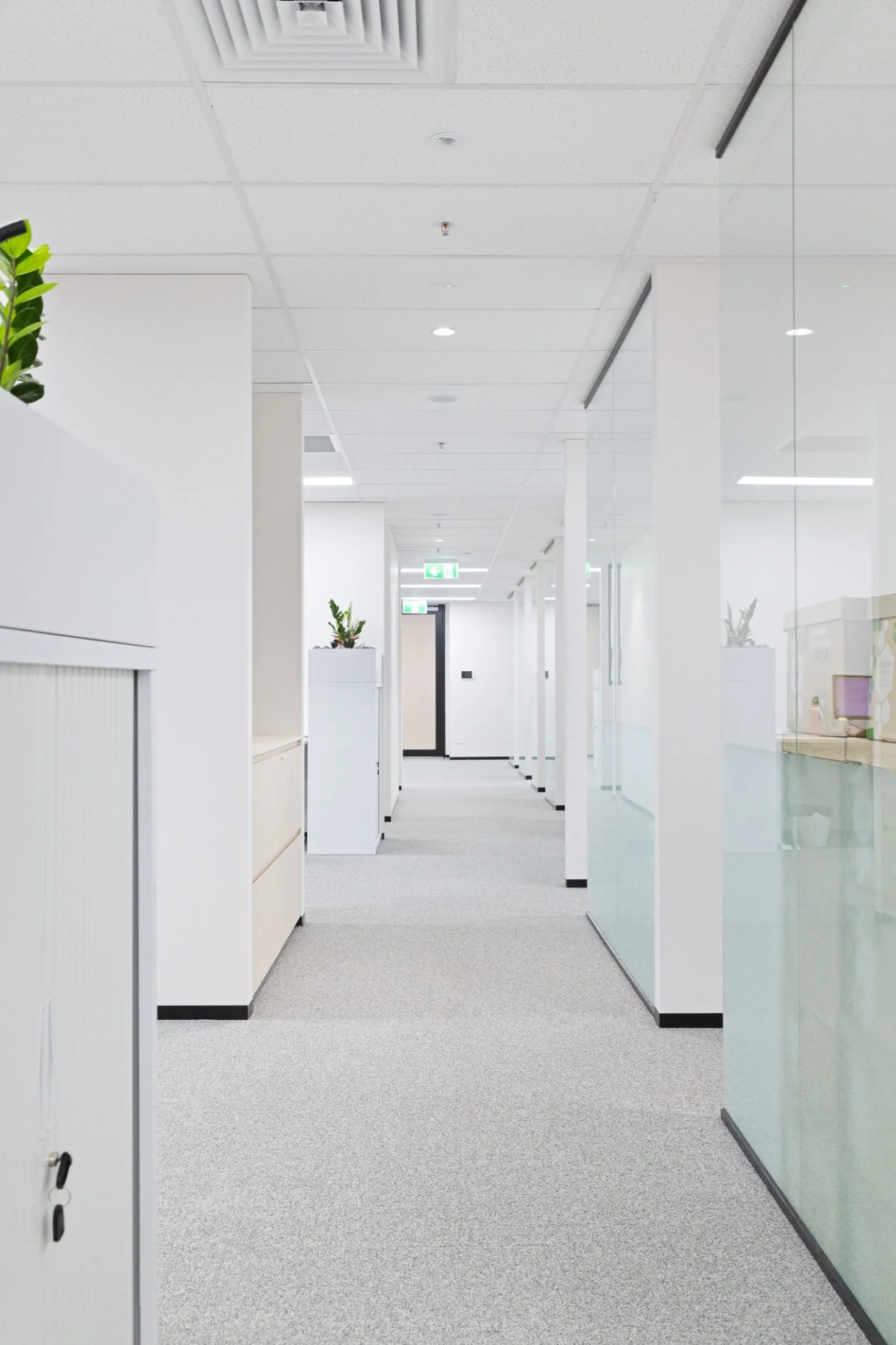 The Estate Lawyers 19